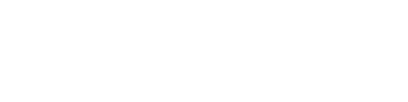 Dodoo System Logo